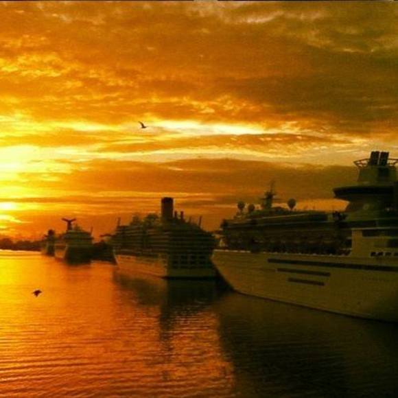 Meet your Posher, Sebastian - Picture 1 of 1